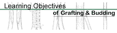 Learning Objectives of Grafting and Budding
